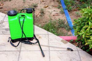 DIY Pest Control Mistakes We See in Hinsdale Residences