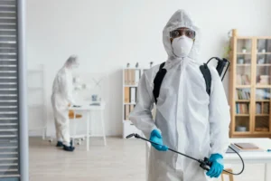 Pest Control Services in Arlington: Compare Options with These Tips