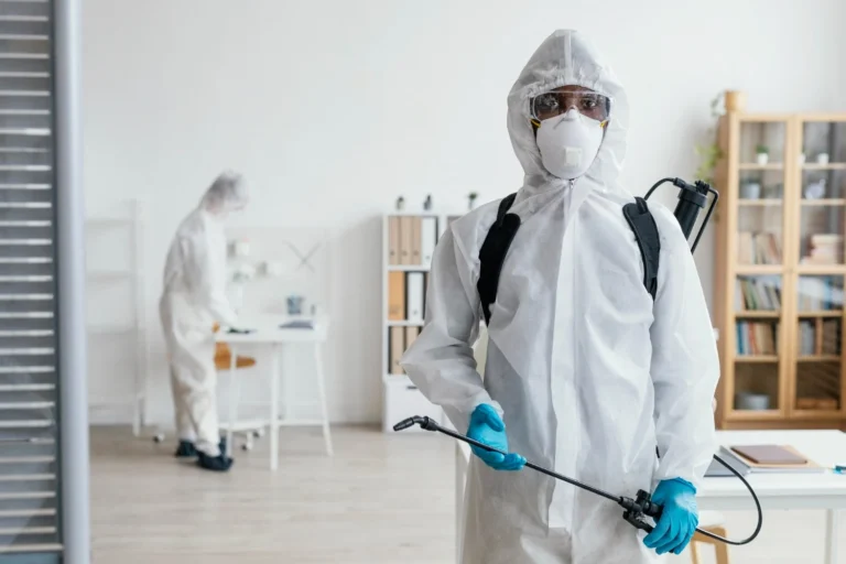 Pest Control Services in Arlington: Compare Options with These Tips
